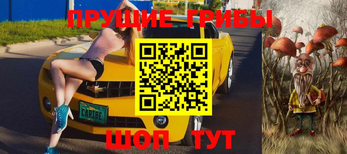 Альфа ПВП Кудрово