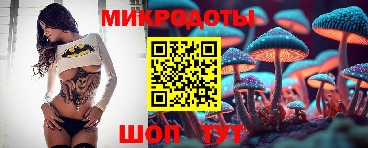 Кудрово  Галлюциногенные грибы Psilocybe  Вход с VPN 